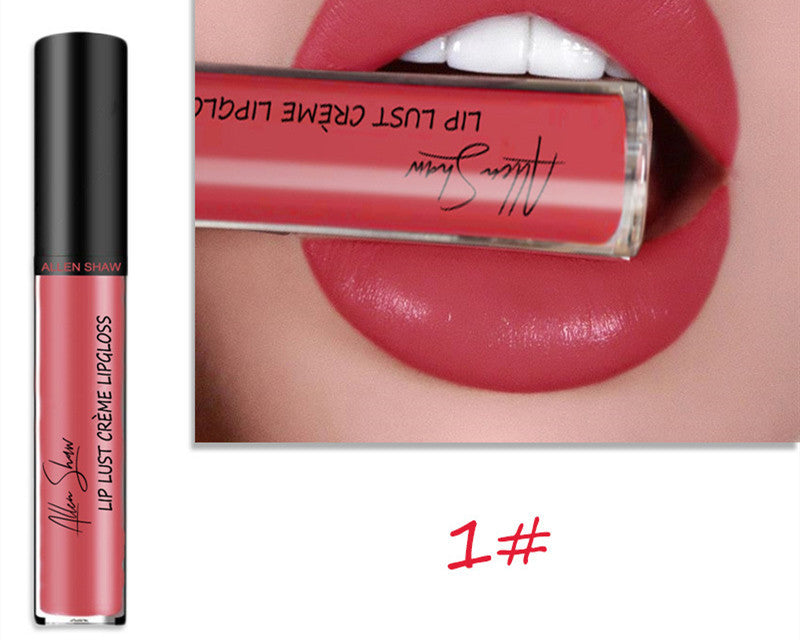 JC-241231MUP-014  Silky Cream Texture Lip Gloss Aliexpress Shopee Cross-Border Exclusive Lip Glaze Lip Gloss Lipstick