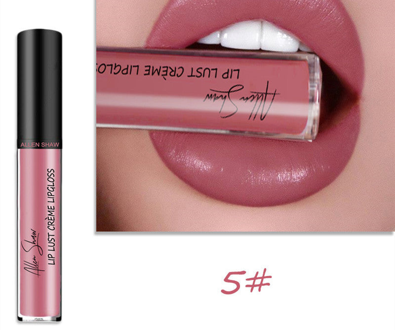 JC-241231MUP-014  Silky Cream Texture Lip Gloss Aliexpress Shopee Cross-Border Exclusive Lip Glaze Lip Gloss Lipstick