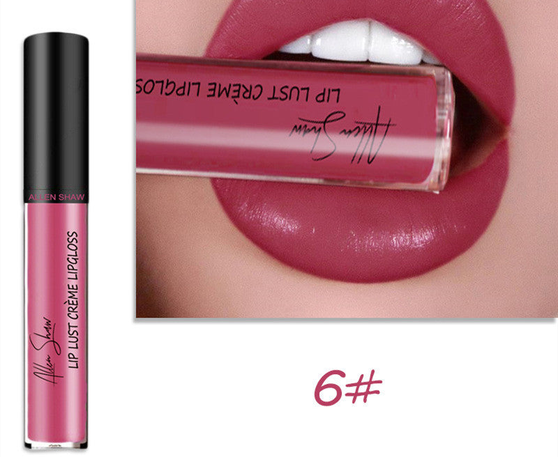 JC-241231MUP-014  Silky Cream Texture Lip Gloss Aliexpress Shopee Cross-Border Exclusive Lip Glaze Lip Gloss Lipstick