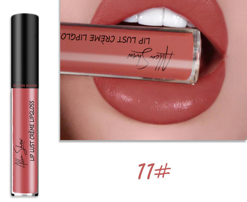 JC-241231MUP-014  Silky Cream Texture Lip Gloss Aliexpress Shopee Cross-Border Exclusive Lip Glaze Lip Gloss Lipstick