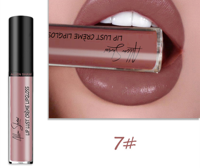 JC-241231MUP-014  Silky Cream Texture Lip Gloss Aliexpress Shopee Cross-Border Exclusive Lip Glaze Lip Gloss Lipstick