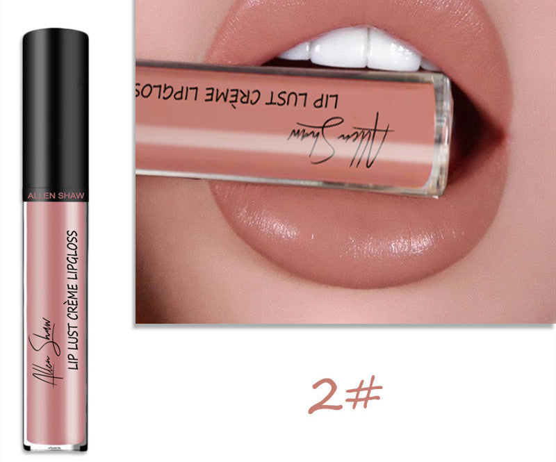 JC-241231MUP-014  Silky Cream Texture Lip Gloss Aliexpress Shopee Cross-Border Exclusive Lip Glaze Lip Gloss Lipstick