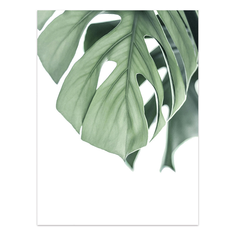 JC-250104PNT-013  Nordic Style Tropical Plants Poster Green Leaves Canvas Print