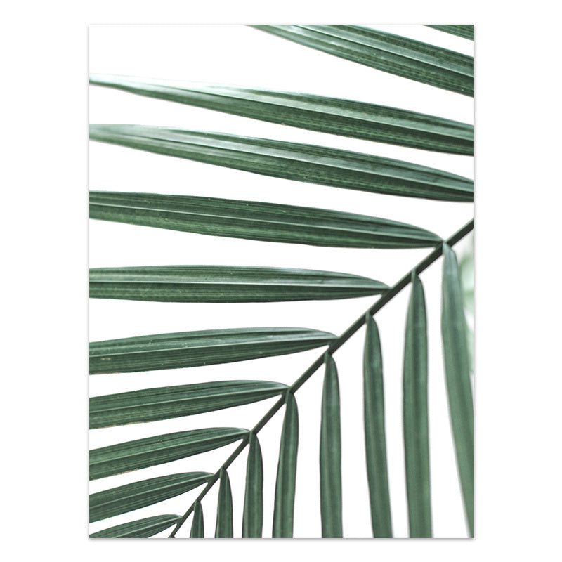 JC-250104PNT-013  Nordic Style Tropical Plants Poster Green Leaves Canvas Print