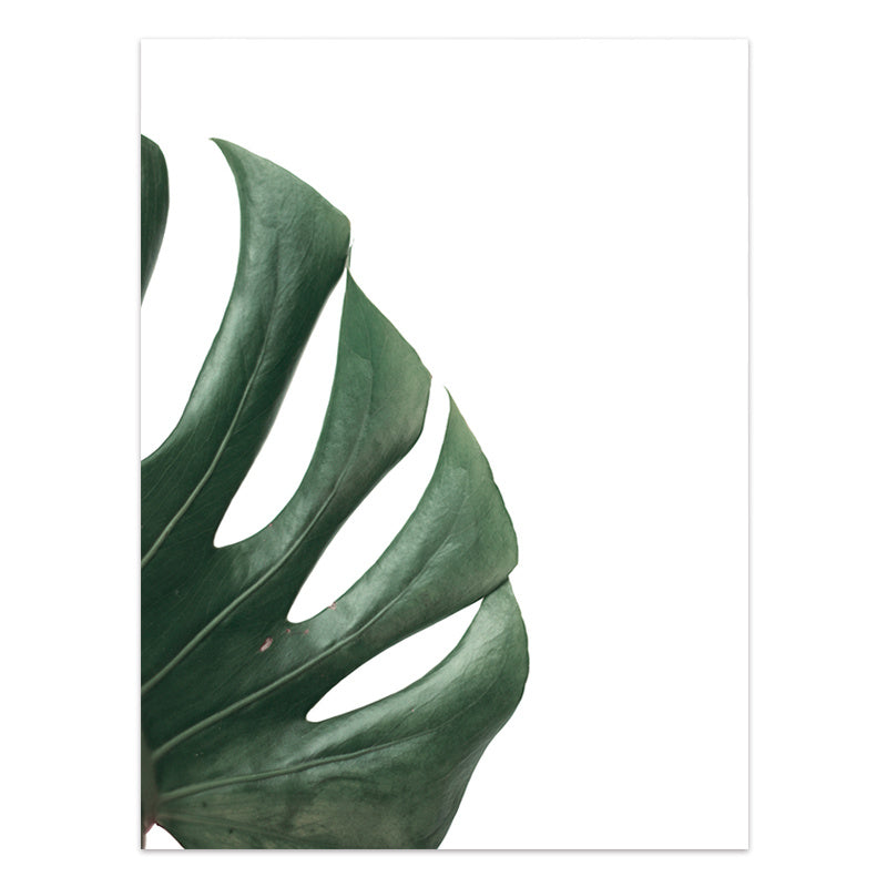 JC-250104PNT-013  Nordic Style Tropical Plants Poster Green Leaves Canvas Print