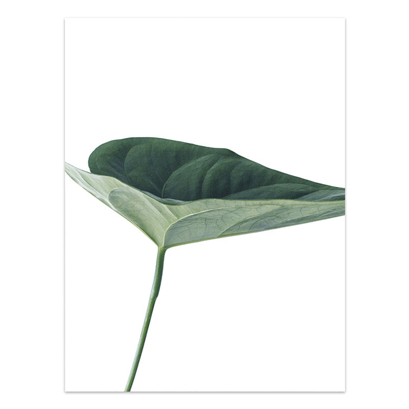 JC-250104PNT-013  Nordic Style Tropical Plants Poster Green Leaves Canvas Print