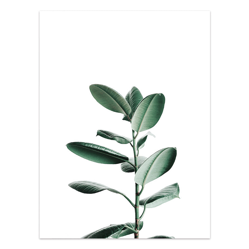 JC-250104PNT-013  Nordic Style Tropical Plants Poster Green Leaves Canvas Print