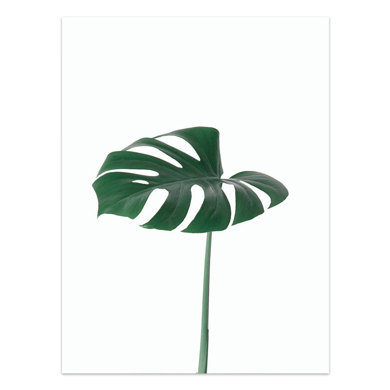 JC-250104PNT-013  Nordic Style Tropical Plants Poster Green Leaves Canvas Print