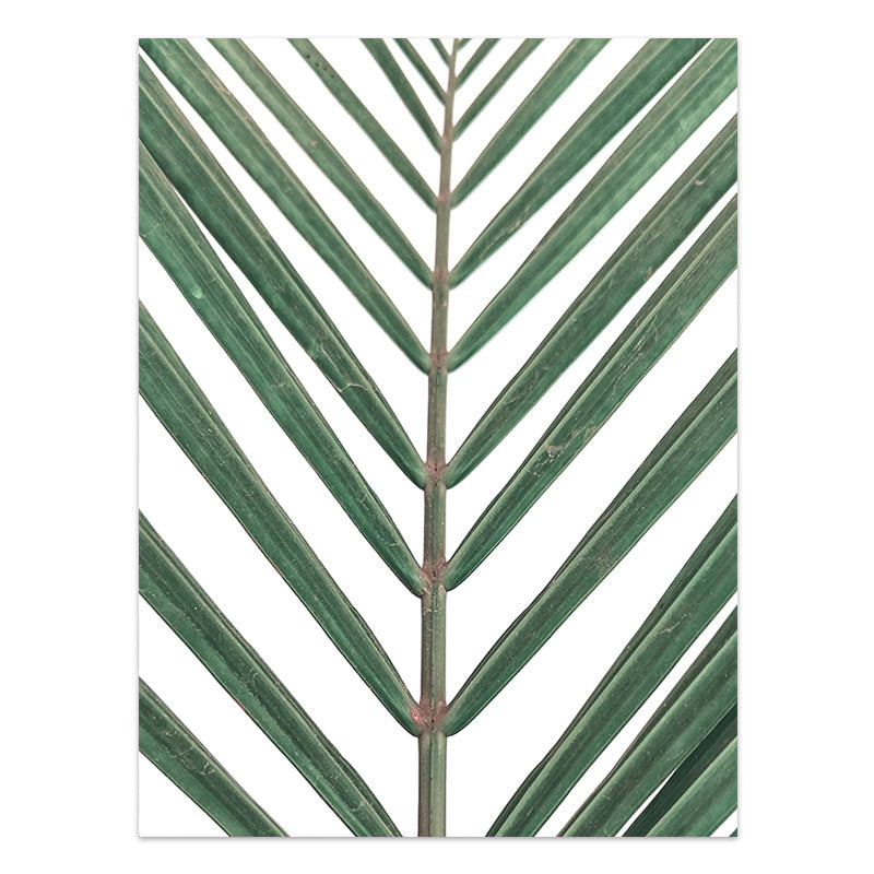 JC-250104PNT-013  Nordic Style Tropical Plants Poster Green Leaves Canvas Print